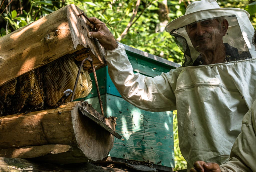 Golden Georgia Honey Production